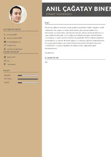 Ziraat Mühendisi Cv Örnekleri cv indir